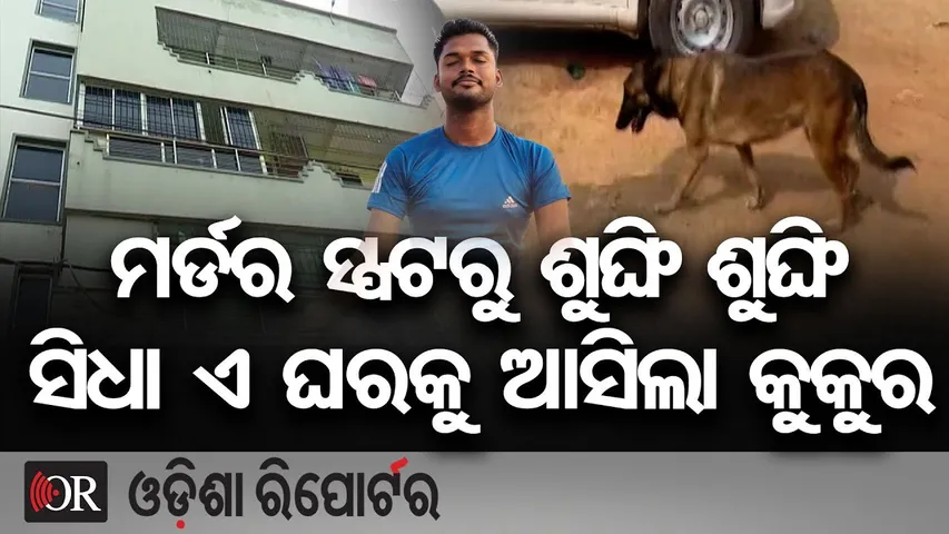 ମର୍ଡର ସ୍ପଟରୁ ଶୁଙ୍ଘି ଶୁଙ୍ଘି ସିଧା ଏ ଘରକୁ ଆସିଲା କୁକୁର || New Clue in SIFA Kinnar Murder Case || OR