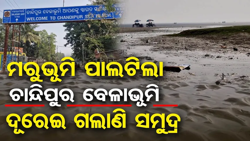 ମରୁଭୂମି ପାଲଟିଲା ଚାନ୍ଦିପୁର ବେଳାଭୂମି … ଦୂରେଇ ଗଲାଣି ସମୁଦ୍ର | Chandipur Beach Balasore | Odisha Reporter