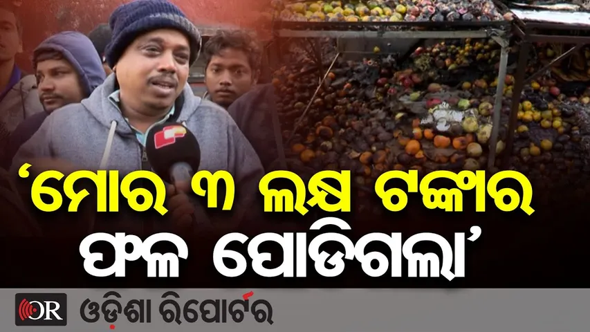 ‘ମୋର ୩ ଲକ୍ଷ ଟଙ୍କାର ଫଳ ପୋଡିଗଲା’ | Odisha Reporter