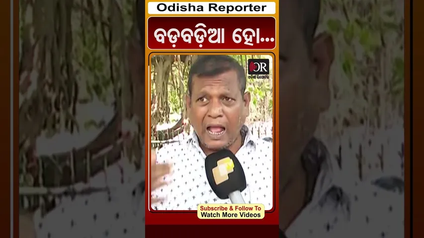 ବଡ଼ବଡ଼ିଆ ହୋ... | Odisha Reporter
