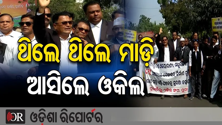 ଥିଲେ ଥିଲେ ମାଡ଼ି ଆସିଲେ ଓକିଲ | Odisha Reporter