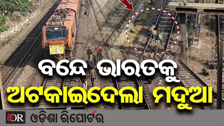 ବନ୍ଦେ ଭାରତକୁ ଅଟକାଇଦେଲା ମଦୁଆ  | Odisha Reporter