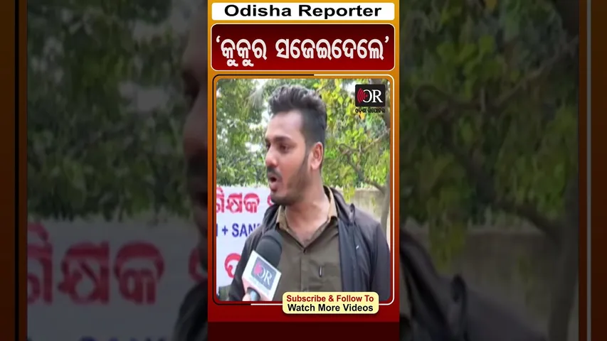 ‘କୁକୁର ସଜେଇଦେଲେ’ | Odisha Reporter