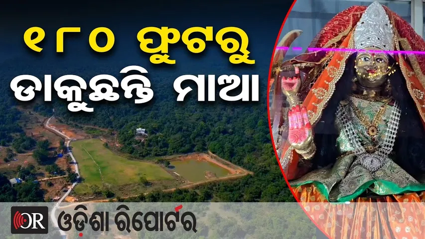 180 ଫୁଟରୁ ଡାକୁଛନ୍ତି ମାଆ | Odisha Reporter