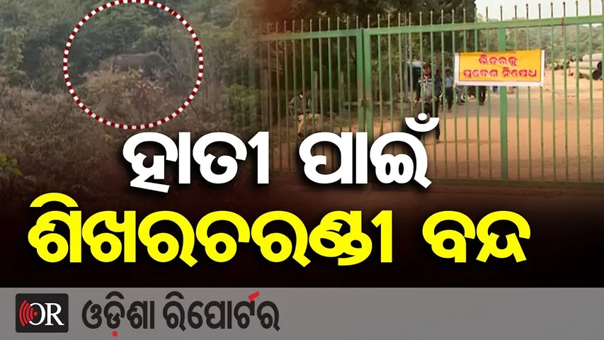 ହାତୀ ପାଇଁ ଶିଖରଚରଣ୍ଡୀ ବନ୍ଦ || Elephant Scare in Bhubaneswar Shikharachandi hills || Odisha Reporter