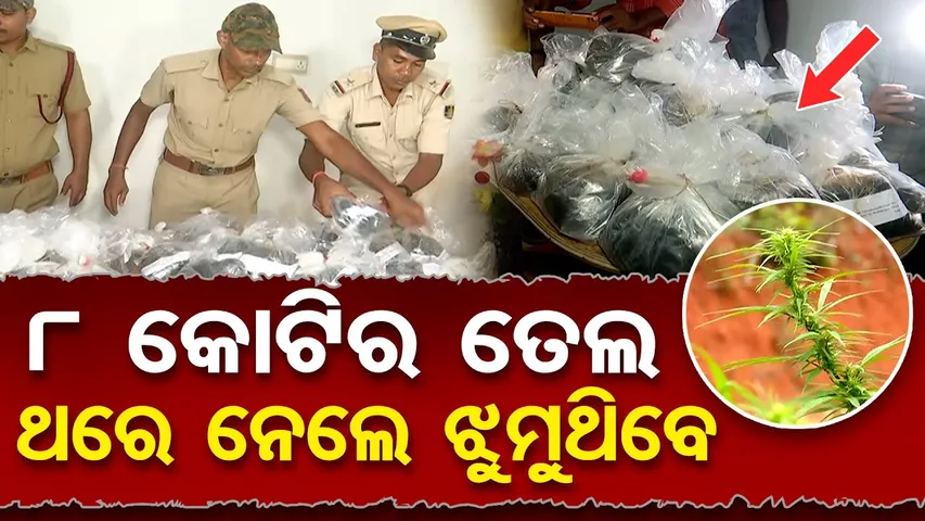 8 କୋଟିର ତେଲ... ଥରେ ନେଲେ ଝୁମୁଥିବେ | 8 Crore Ganja Oil Seized! | Ganja Oil Smuggling | Malkangiri | OR