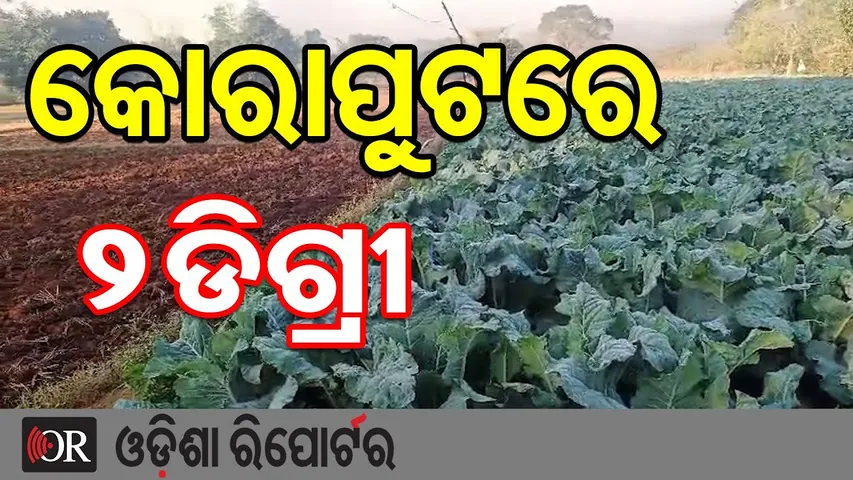 କୋରାପୁଟରେ 2ଡିଗ୍ରୀ | Odisha Reporter