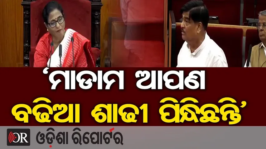 ‘ମାଡାମ ଆପଣ ବଢିଆ ଶାଢୀ ପିନ୍ଧିଛନ୍ତି’ -ରାଜା ସ୍ବାଇଁ || Odisha Assembly || MLA Raja Swain |Odisha Reporter