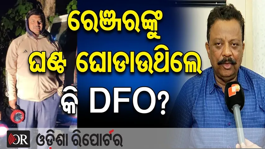 ରେଞ୍ଜରଙ୍କୁ ଘଣ୍ଟ ଘୋଡାଉଥିଲେ କି DFO? || Kandhamal Elephant Death Case || Forest Scandal |Wildlife Crime