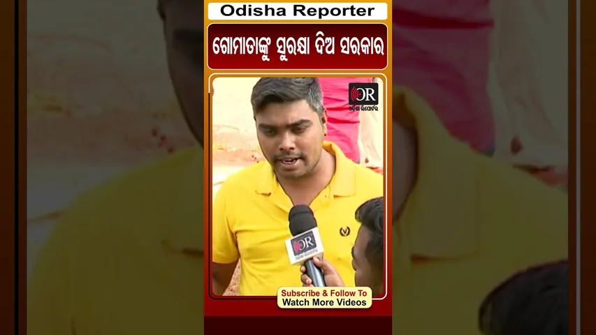 ଗୋମାତାଙ୍କୁ ସୁରକ୍ଷା ଦିଅ ସରକାର | Odisha Reporter