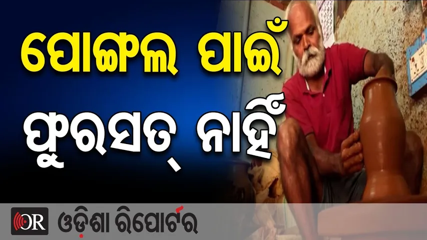 ପୋଙ୍ଗଲ ପାଇଁ ଫୁରସତ୍ ନାହିଁ  | Odisha Reporter