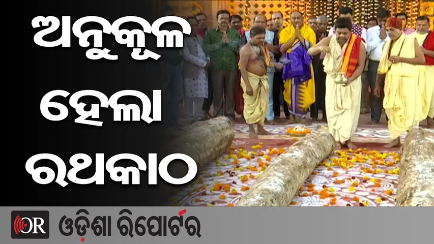ଆଜିଠୁ ଘୋଷ ଯାତ୍ରା ପ୍ରସ୍ତୁତି ଆରମ୍ଭ || Puri || Ratha Yatra || Odisha Reporter