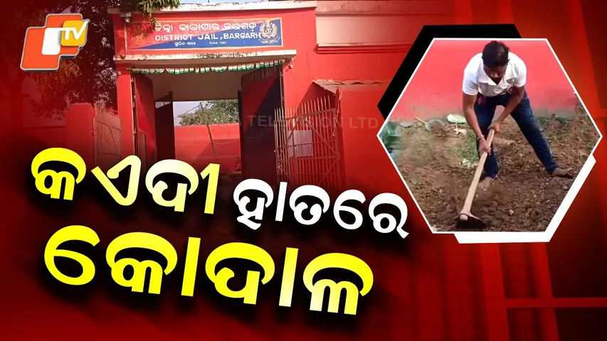 Bargarh-Prisoners-in-Agricultural-Work