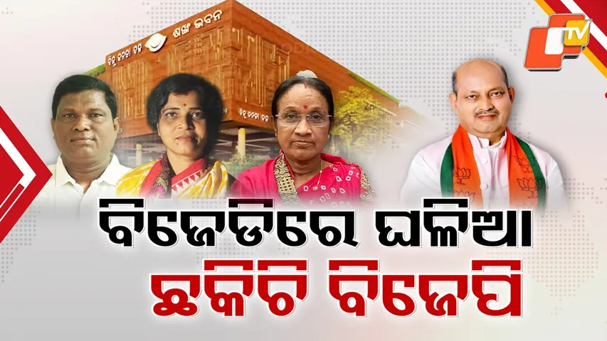 bjd-bjp