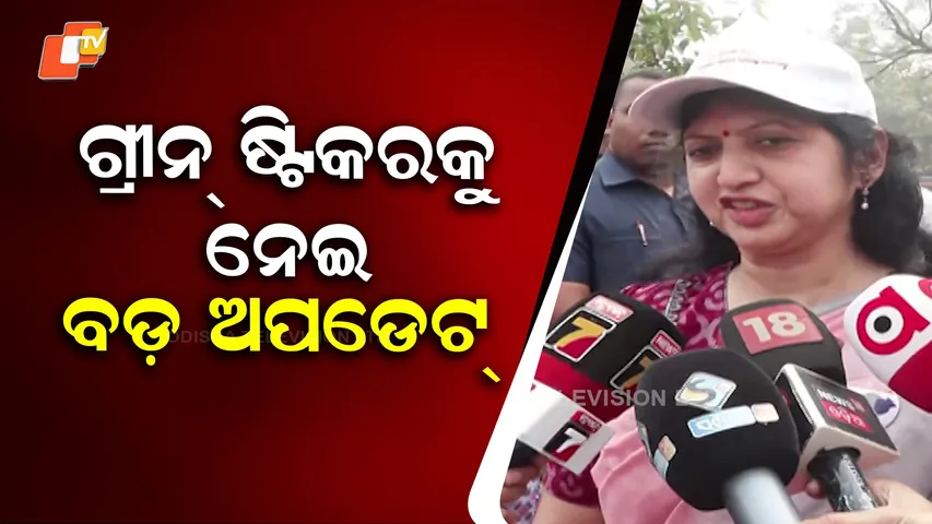 Big Update on Green Sticker