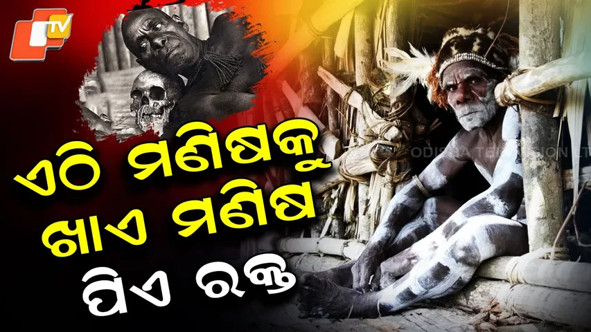 The Tribes Eats Human