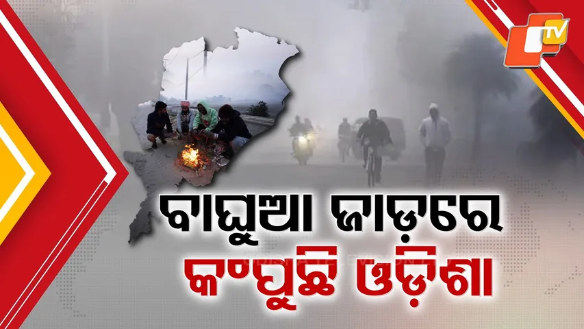 Biting Cold Wave Sweeps Odisha