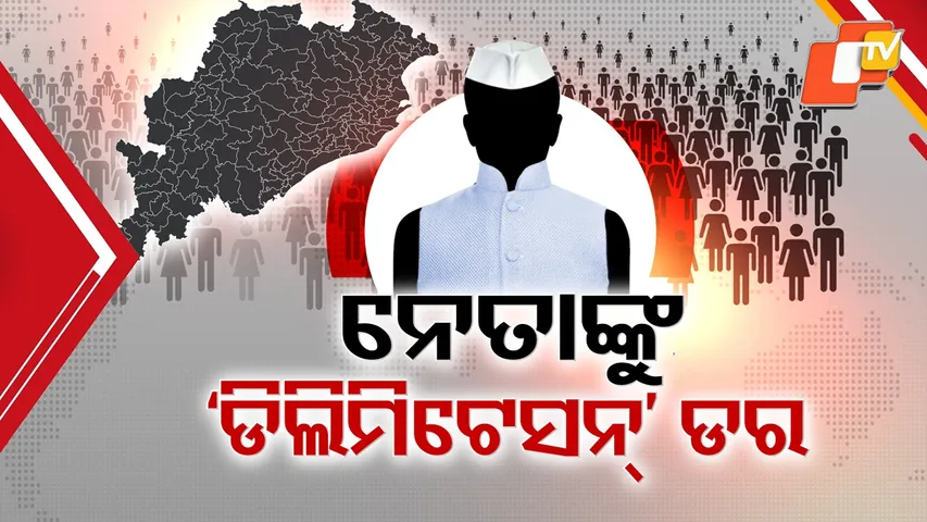 Assembly Delimitation Buzz Returns