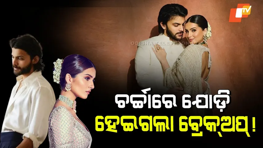 Veer Pahariya Tara Sutaria Breakup