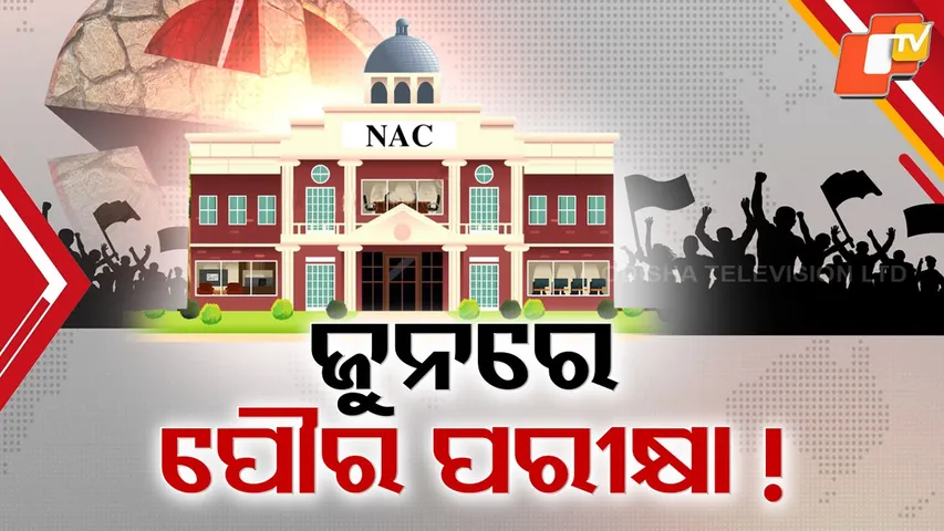 Municipal Elections Likely in 28