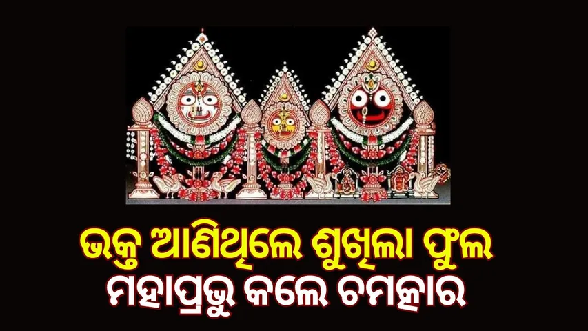 Significance Padma Besha