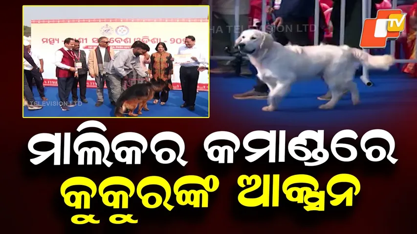 Odisha Dog Show 2026