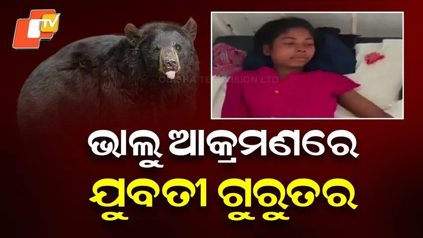 Woman Seriously Injured in Bear Attack