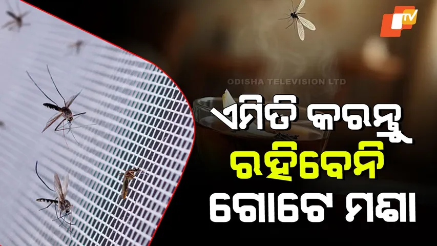 Mosquito Home Remedy