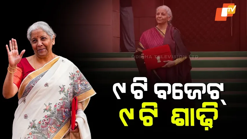 Nirmala Sitharaman Budget Day Sarees