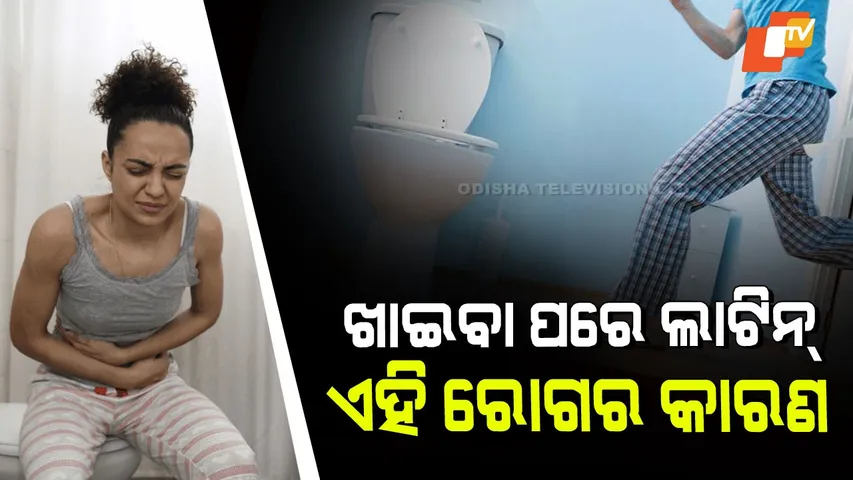 Why People Go Toilet After Meals