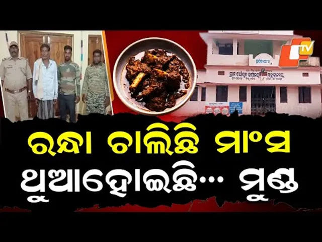 Special Story: Wild Meat Feast Busted Inside Panchayat Office During Wildlife Week in Athagarh