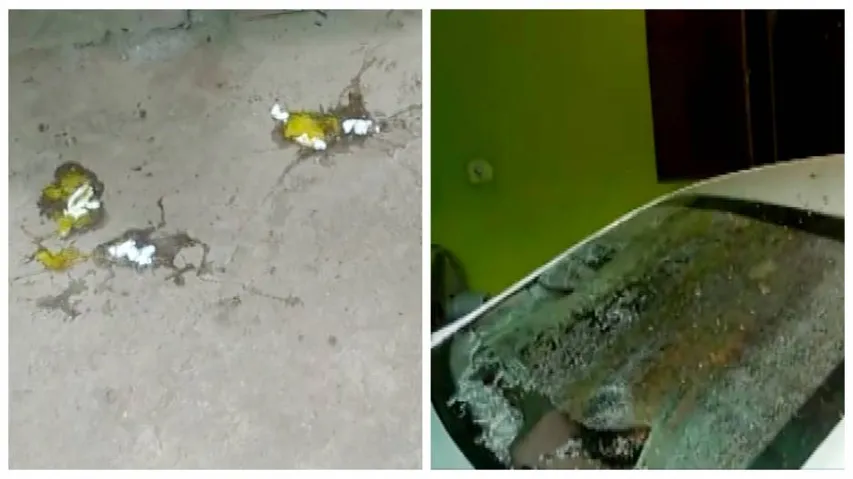 ରଥଯାତ୍ରା ବନ୍ଦ ପାଇଁ ଆବେଦନ କରିଥିବା ବ୍ୟକ୍ତିଙ୍କ ଘର ଉପରକୁ ଅଣ୍ଡା ମାଡ଼