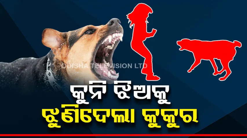 Balangir Street Dog Attack