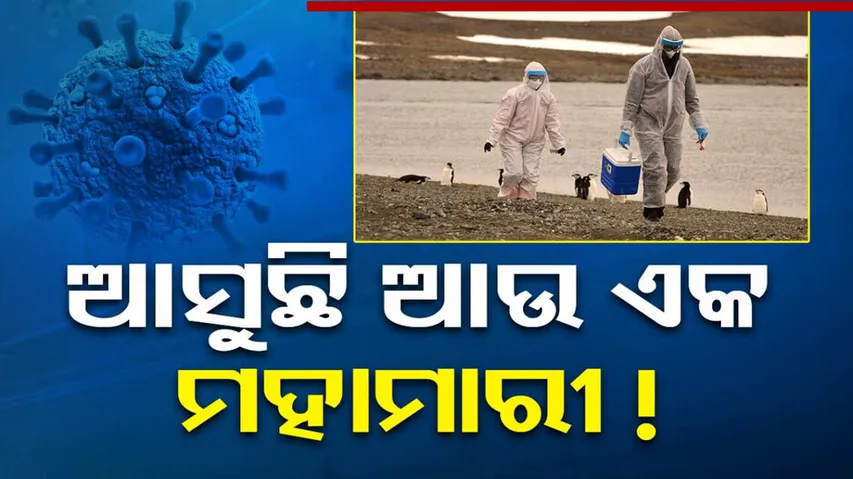 H5N1 Virus Bird Flu Pandemic