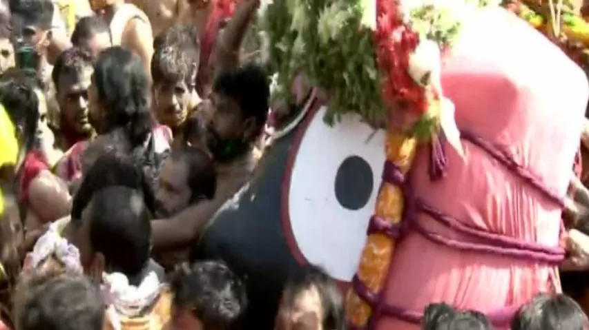 ପଡ଼ୁଛି ଆଲଟ, ଚାମର: ଦଇତାଙ୍କ କାନ୍ଧରେ ଝୁଲି ଝୁଲି ଆସୁଛି କାଳିଆ ସାଆନ୍ତ