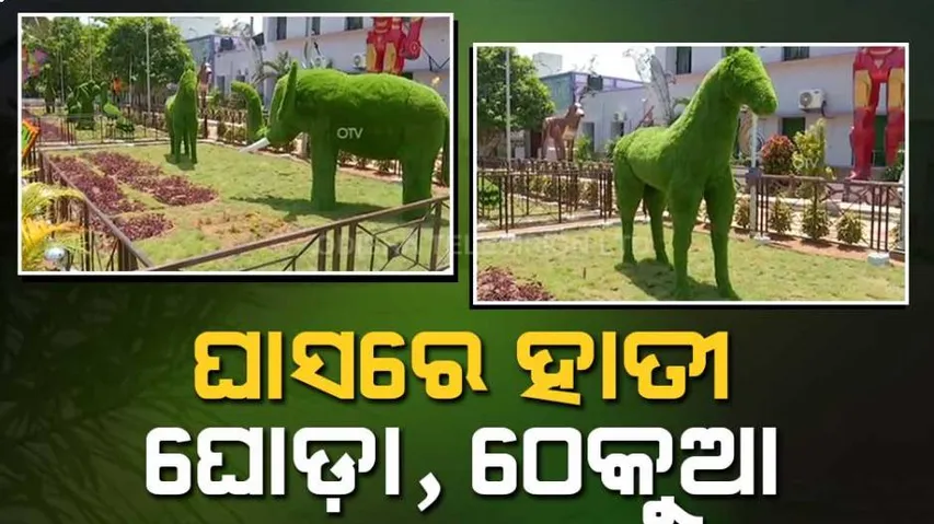 ରାଜ୍ୟରେ ପ୍ରଥମ ଗ୍ରାସଆର୍ଟ ପାର୍କ : ଅଦରକାରୀ ଲୁହା ଓ କୃତ୍ରିମ ସବୁଜ ଘାସରେ ତିଆରି ହୋଇଛି ଆକର୍ଷଣୀୟ କଳାକୃତି