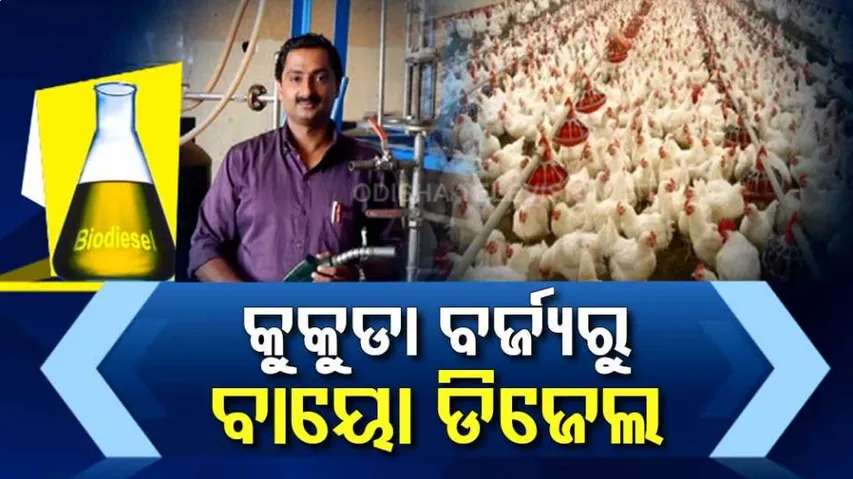 ବାହାରିଲା ପେଟ୍ରୋଲ, ଡିଜେଲର ବିକଳ୍ପ; କୁକୁଡ଼ା ବର୍ଜ୍ୟରୁ ପ୍ରସ୍ତୁତ ହେଲା ବାୟୋ ଡିଜେଲ