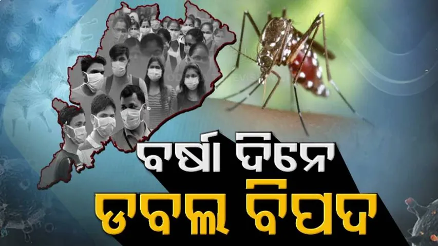 କରୋନା ସମୟରେ କାୟା ବିସ୍ତାର କଲାଣି ଡ଼େଙ୍ଗୁ