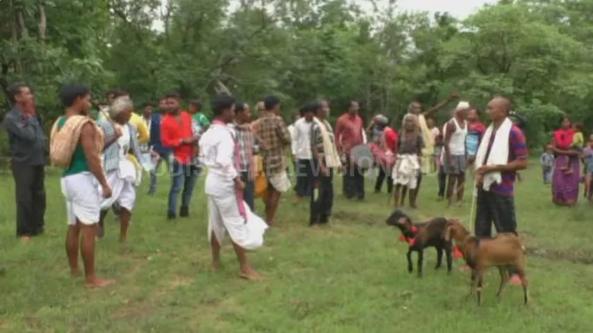 ଆଦିବାସୀଙ୍କ ଆଦିମ ପରମ୍ପରା : ବର୍ଷା ପାଇଁ ଡଙ୍ଗର ବୁଢାକୁ ପୂଜା
