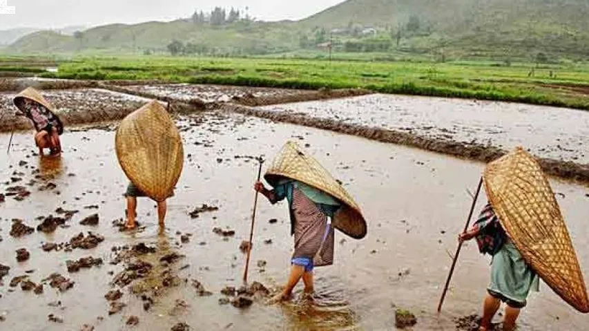 ଭାରତର ଏହି ଗାଁରେ ସବୁଠାରୁ ଅଧିକ ବର୍ଷା ହୋଇଥାଏ