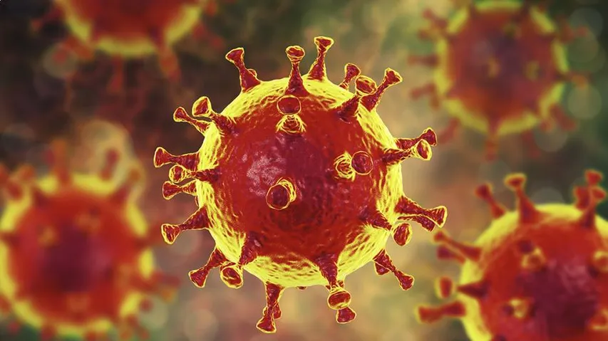 Coronavirus