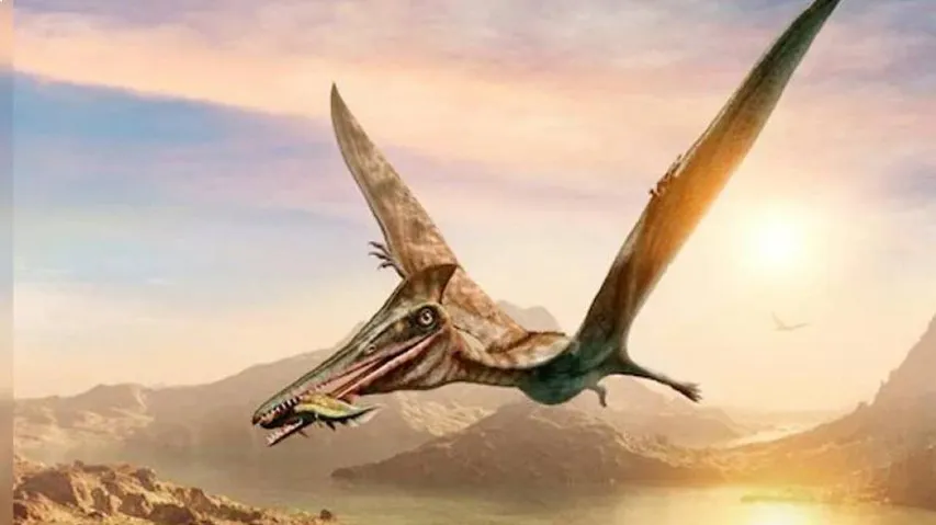 ଡ୍ରାଗନ ଭଳି ଦେଖାଯାଉଥିଲା ଏହି ଉଡନ୍ତା ପ୍ରାଣୀ