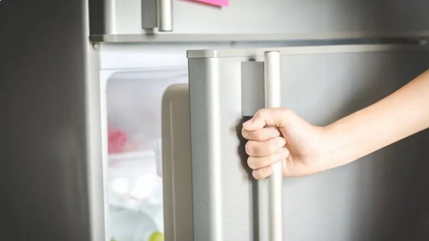 ଫ୍ରିଜ୍‌ ଭିତରୁ ମିଳିଲା ୯୩ ବର୍ଷୀୟ ବୃଦ୍ଧଙ୍କ ମୃତଦେହ