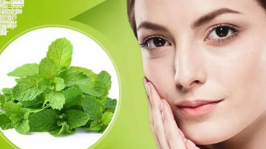 ପୋଦିନାରେ ଅଛି ଅନେକ ଔଷଧୀୟ ଗୁଣ : ମୁହଁର ରଙ୍ଗକୁ ଉଜ୍ଜଳ କରେ, ଆଖି ତଳ କଳା ଦାଗ ଦୂର କରେ