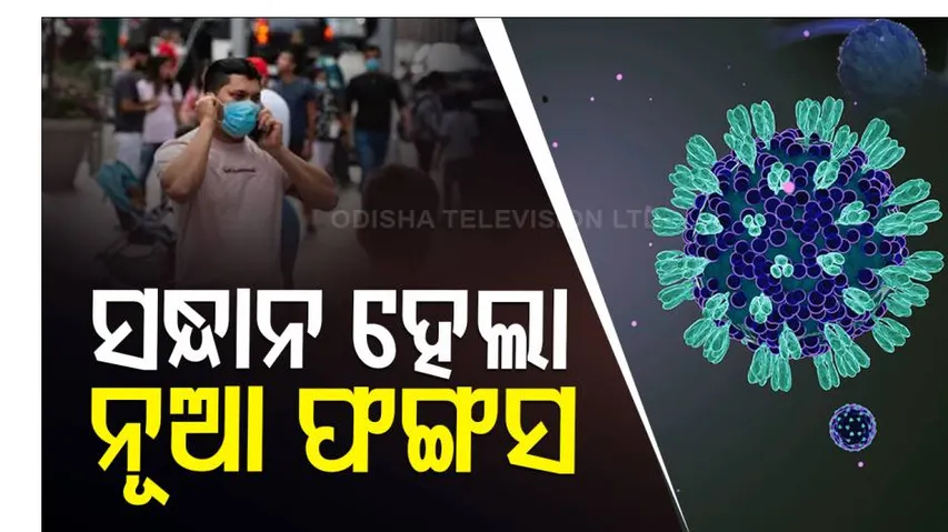 ନୂଆ ଫଙ୍ଗସ୍‌ର ସନ୍ଧାନ କଲେ ଏମ୍ସ ଗବେଷକ