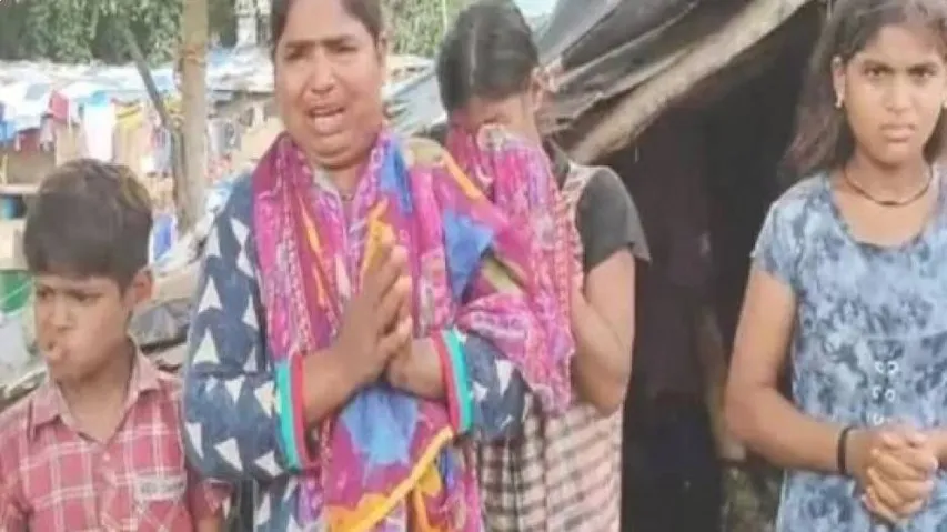 forest department team frees baby monkey