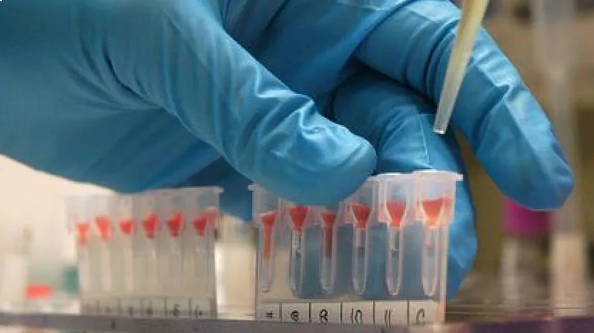 Nature from blood groups