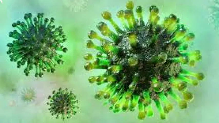 Coronavirus