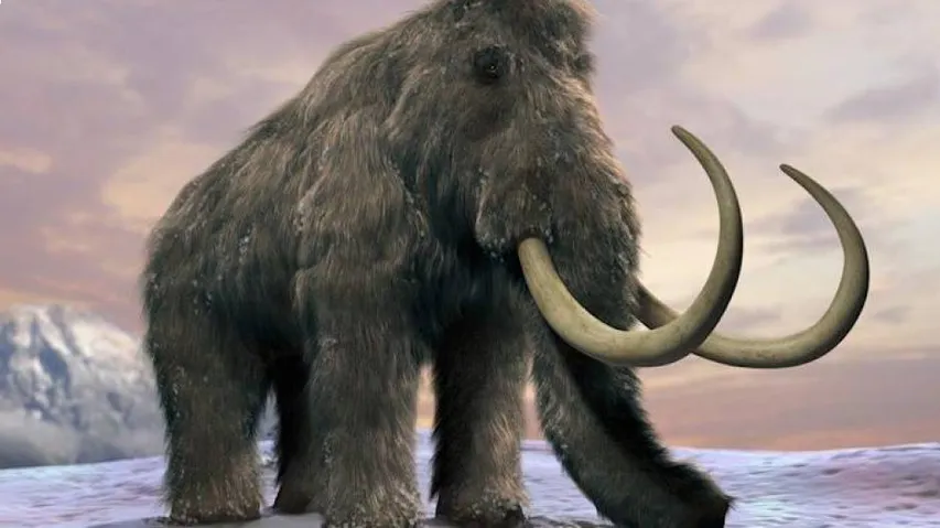Giant Mammoths