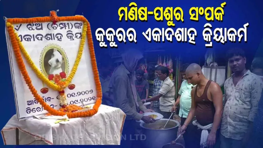  Locals Perform Last Rites Of Street Dog